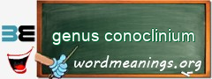 WordMeaning blackboard for genus conoclinium